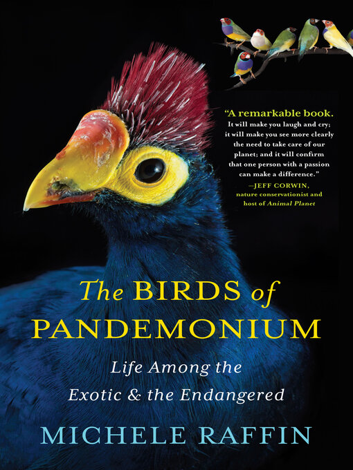 Title details for The Birds of Pandemonium by Michele Raffin - Available
